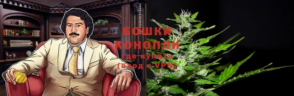 прущие грибы Богородицк